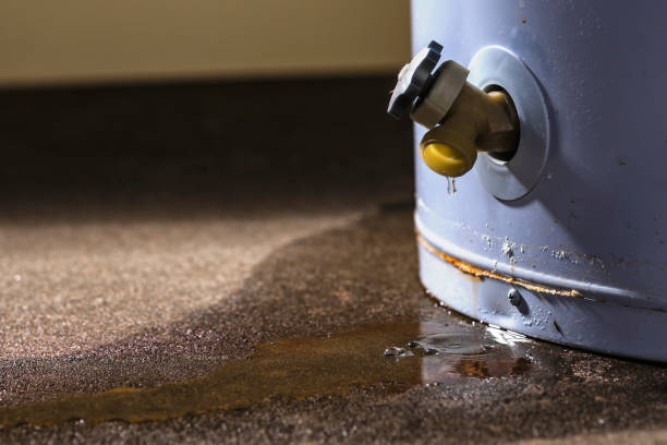 Best Water damage restoration near me  in Ganado, TX
