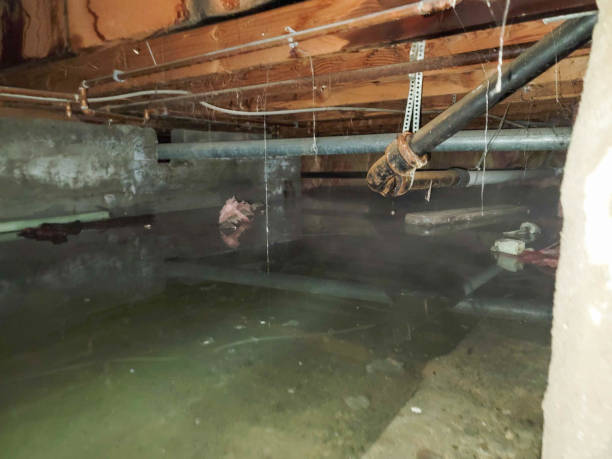 Best Ceiling water damage repair  in Ganado, TX