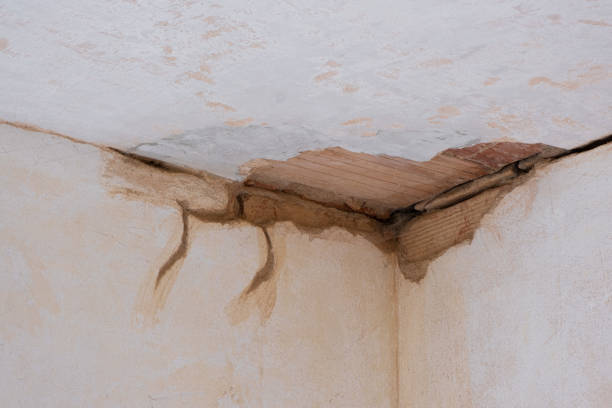 Best Flood damage cleanup  in Ganado, TX
