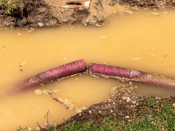 Best Mold removal after water damage  in Ganado, TX