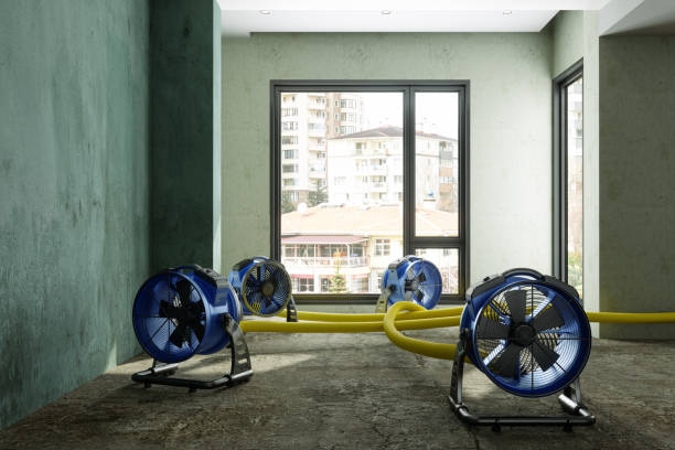 Best Basement water damage restoration  in Ganado, TX